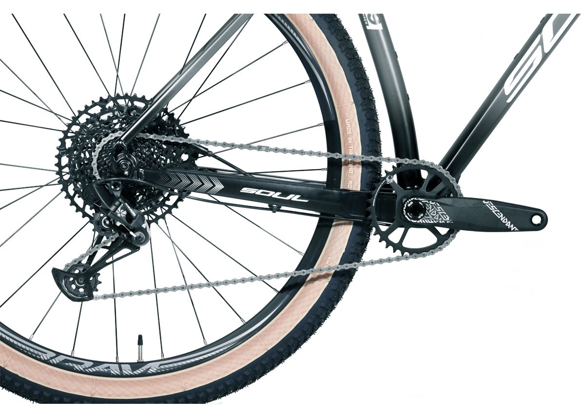 SL929_Espinhaco_02